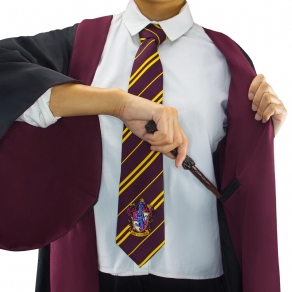 Harry Potter – pelerina Gryffindor